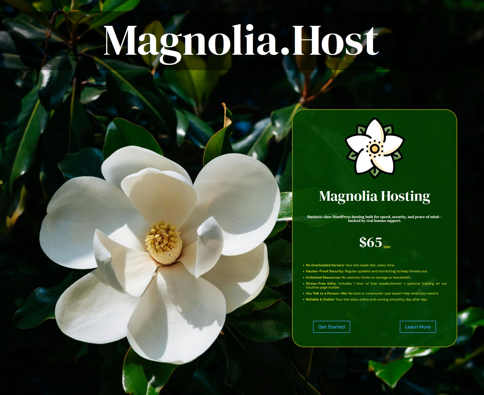 designer-portfolio-3